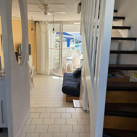 Duplex Marina 2 Pieces + Cabine Avec Terrasse Et Appontement Prive, Parking - Fr-1-731-97 Daire